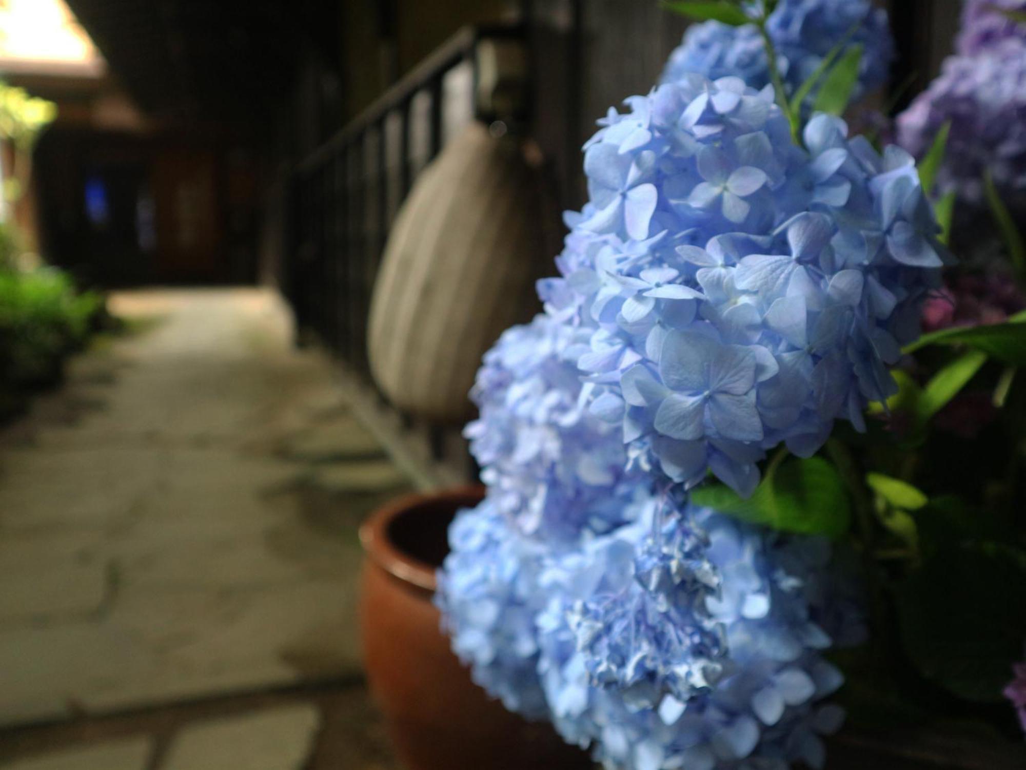 Yunohira Kamiyanagiya Yufu Exterior foto